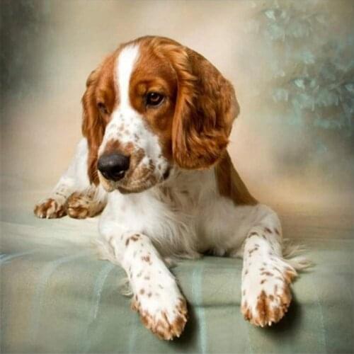 Springer Spaniel Diamond Painting Round Full Drill Nouveaute DIY Mosaic Embroidery 5D Cross Stitch Animal Dog Pattern