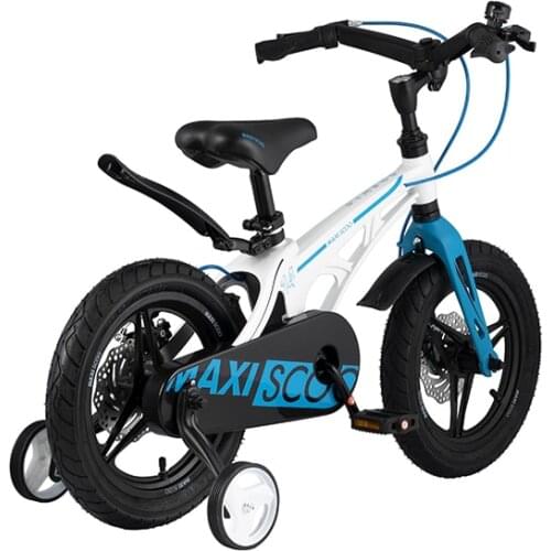 Maxiscoo Children's Bicycles