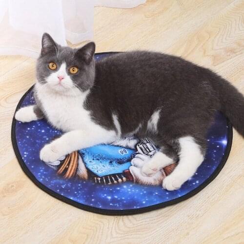 Waterproof Cartoon Printing Pads Mat Reusable Pet Dog Diaper Urine Pads Animal Puppy Training Travel Sleeping Skin-friendly Mat