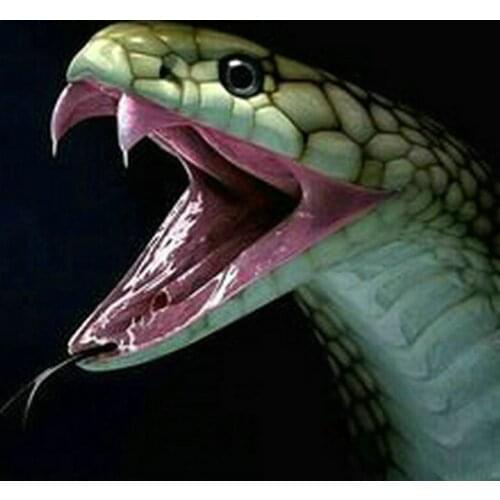 5d square/round snake animal 5d diamond painting viper diamond mosaic diamond embroidery sticker gift 40x40cm