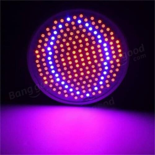 Sevenneonlighting LED Plant Lamps