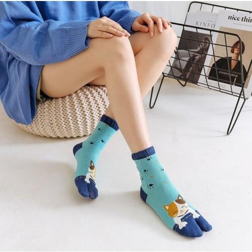 Two-toed Socks Female Cotton Autumn Winter Thick Cartoon Animal Sweat Toe Socks Japanese Kawaii Socks Women Harajuku Cute Sox