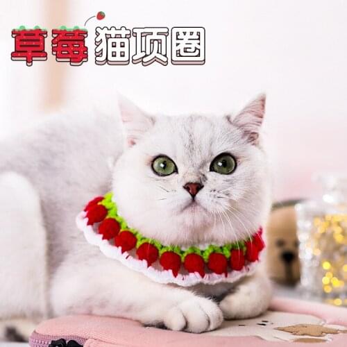 Cat collar hand-woven cat collar kitten hood dog comfortable collar cat jewelry neck necklace