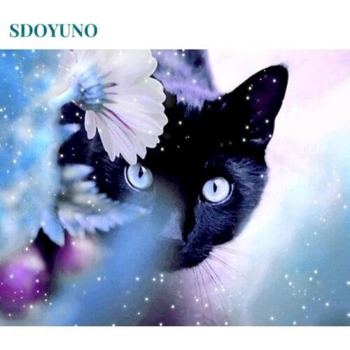 SDOYUNO Paint By Numbers Kits On Canvas Cats DIY Frameless 60x75cm Oil Painting By Numbers Animals Draw Numbers Home Decor