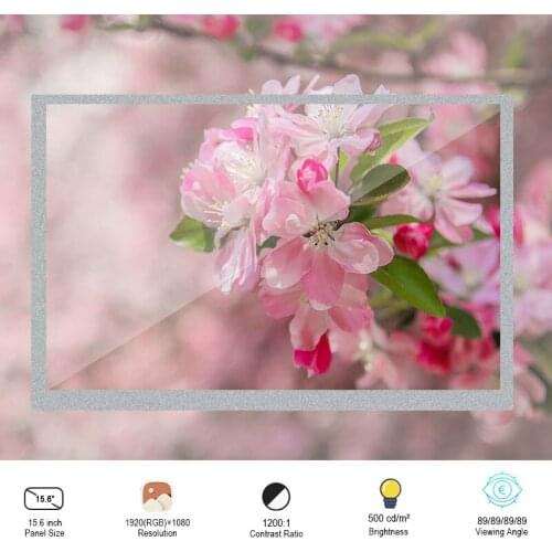 Original BOE EV156FHM-N10 Industrial 15.6 Inch TFT LCD Screen With 1920x1080 FHD Lcd Display HD Display Screen WithoutTouch