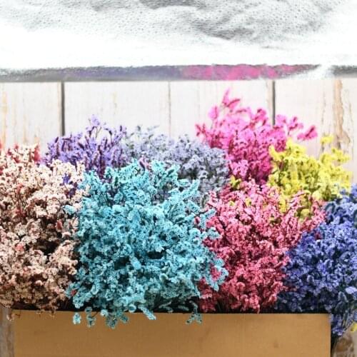 60cm Crystal Grass Fresh-Cut Natural Preserved Dried Flower Photograph Home Garden Wedding Modern Life Art Christmas Decoration