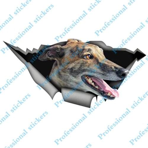 Funny Greyhound Funny Car Sticker Torn Metal Brindle Greyhound Decal Reflective Stickers Skateboard Car Decor