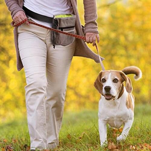 Portable Dog Training Snack Bag Pet Large Capacity Strong Wear Resistance Puppy Outdoor Train Snack Reward Pet Snack Waist Bag