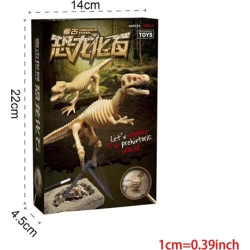 T5EC Science Skeleton Model Toy Archaeological Dig Toy Paleontologist Dig Kit Tyrannosaurus,Velociraptor,Ceratosaurus,Mammoth