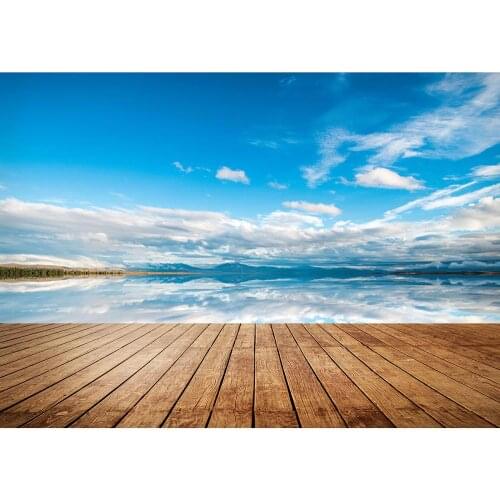 SHENGYONGBAO Vinyl Custom Photography Backdrops Props Scenery theme Photo Studio Background NYY5-08