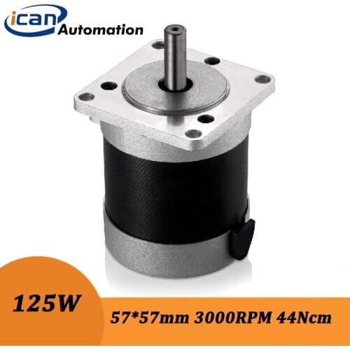 ICAN Hall-sensor Brushless dc Motor 125Watt 24volt 44Ncm bldc motor high speed