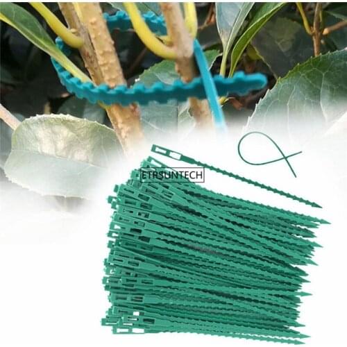 100Set Fishbone Spur Green Landscape Reusable Garden Plastic Plant Belt Ties Tie Garden Fishbone Band Tools