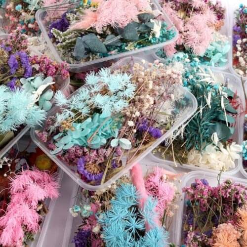 1Box Real Dried Flower Aromatherapy Candle Epoxy Resin Pendant Making Craft DIY