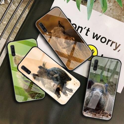 Wild boar Tempered Glass Case For Samsung Galaxy A10S A10E A20S A20E A30S A40 A50S A60 A70 A80 A90 A6 A7 A8 Shell