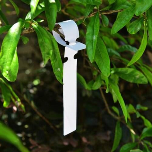 100pcs Garden Plant Tags Garden Nursery Label hanging tree Markers seedling plant fruit trees signs prompt card tool