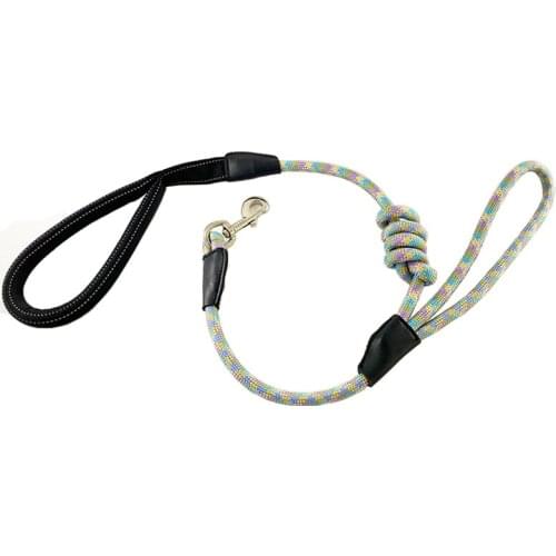 2021 New Design Durable Nylon Double Padded Handle Dog Leash For Pulling 2 Dogs Reflective pet Leash dog accessories