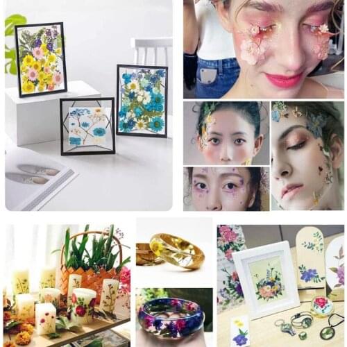 1 Set DIY Dried Flowers Resin Mold Fillings UV Expoxy Flower for Nail Art Pressed Flowers Decal for Home Decor Handicraft