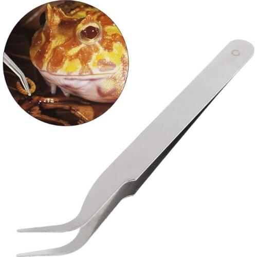 2021 New Stainless Steel Reptile Clips Feeding Tweezers Frog Spider Amphibian Terrarium Litter Cleaning Feeding Tool Insect