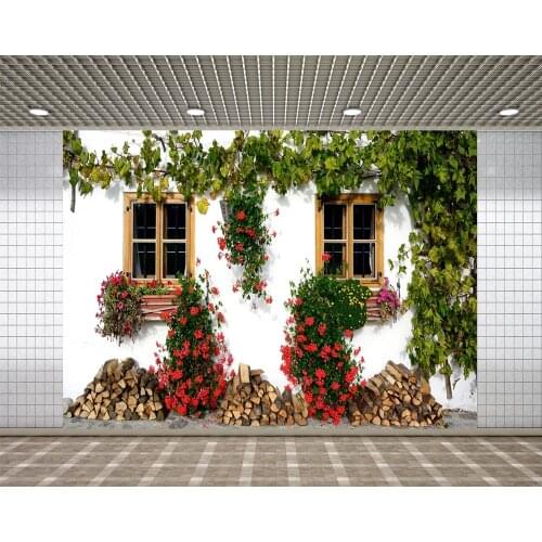 Lyavshi rural background red flowers firewood white wall green vine photo background photo studio photography