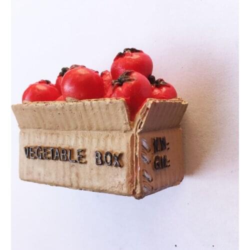 Spain Valencia Tomato War Memorial Souvenir Magnet Fridge Magnet