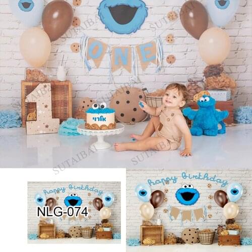 Childrens Birthday Photoshoot Backdrops Sesame Street Party Decorations 1st Birthday Photography Background Photocall