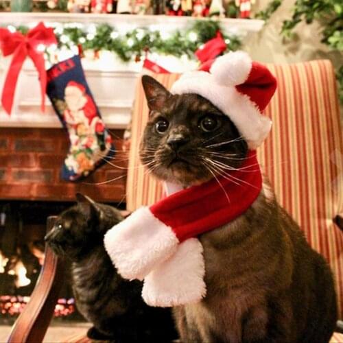 Christmas Small Plush Santa Hat scarf for Pet Dog Cat Hat Merry Christmas Decorations Cap Noel Navidad Happy New Year Gift