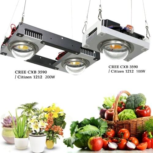 CREE CXB3590 COB LED Grow Light Full Spectrum 100W 200W Citizen1212 Plant Grow Lamp for Indoor Tent Greenhouses Hydroponic Plant