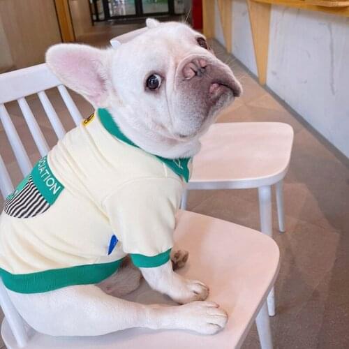 Dog Hoodie Winter Pet Costume Poodle Shiba Inu Schnauzer west highland white terrier Pug Dog Clothes French Bulldog Clothing