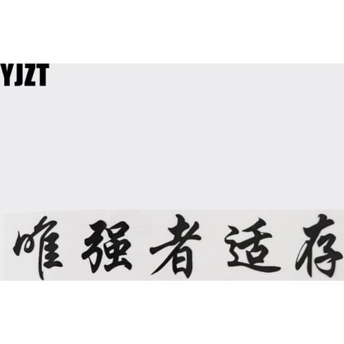 YJZT 21CM*4.3CM Only The Strong Survive Hieroglyphics Character Car Sticker Vinyl 13D-0294