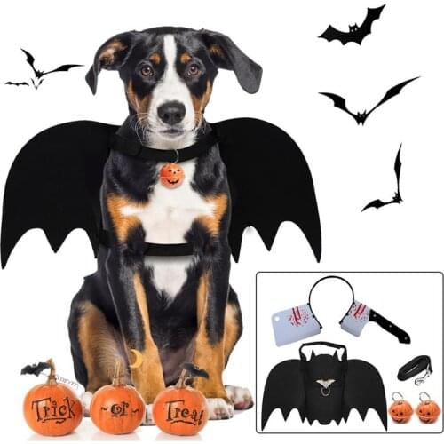 Legendog Halloween Pet Costume Set Creative Dog Bat Costume With Leash Pumpkin Bell & O Ring Pet Supplies Clothing Accessories
