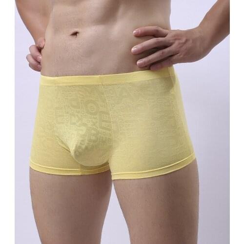 Sexy Men Underwear Transparent Boxer Shorts Cueca Lace Panties For Man Solid Low Waist U Convex Pouch Underpants Plus Size M-XXL