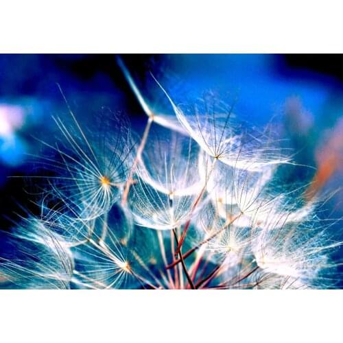 DIY 5D Needlework,,Diamond Embroidery,,Diamond Painting Dandelion 3d pictures,image,Stitch Cross,3D,Diamond Mosaic,Crafts,gifts