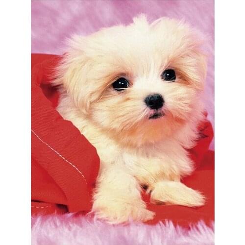 DIY 5D Diamond painting Animal cute puppy Diamond Embroidery Full Cross Stitch Rhinestone Mosaic Home Decor Handmade Gift