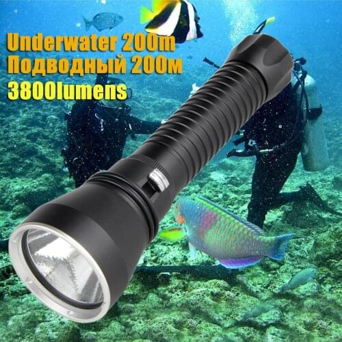 CHUBAN Portable Lamps