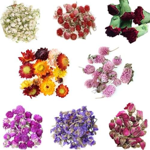Plant Dried Flowers Roses DIY UV Epoxy Resin Glue Natural Air Dried Flower Filling Jewelry Making Decoration Plant Leaves Crafts