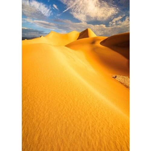 Photo Backgrounds Desert Sand Computer Printed Backdrops Photography Props for Baby Children Portrait Photobooth Fond Studio