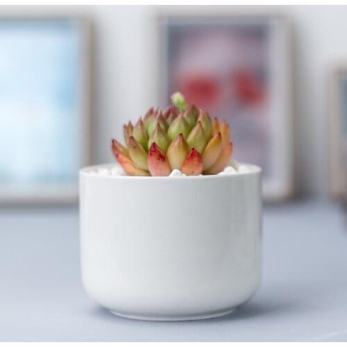 Simple White Flower Pot Creativity Gardening Porcelain Table Top With Round Feet Straight Body Potted FlowerPot Indoor Decor