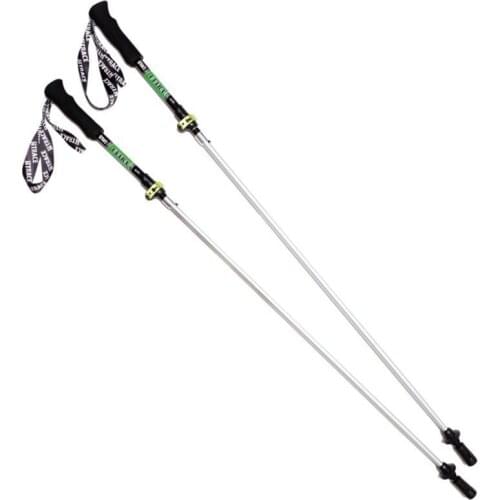 Btrace Nordic Walking Sticks