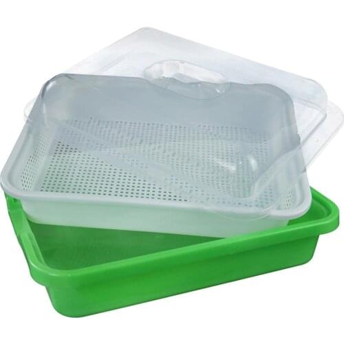 Seed Sprouter Tray BPA Free PP Soil-Free Big Capacity Healthy Wheatgrass Grower with Cover Seedling Tray Sprout Plate Hydroponic