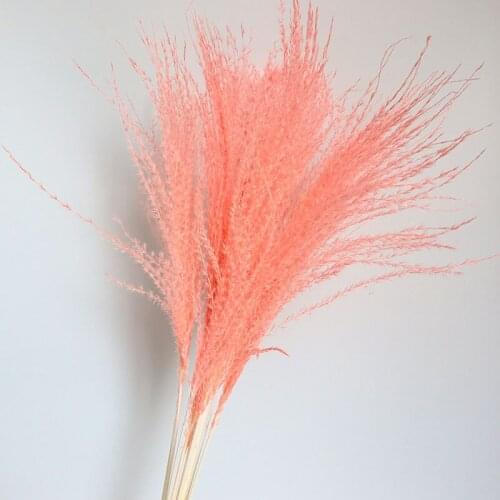 Preserved Dried Buddha Dust Pampas Reed FLower Natural Plant Arrangement Home Wedding Office Table Graden INS Style Decoration