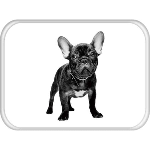 Mylb Cartoon Printing dog Floor Mats Bathroom Kitchen Carpets Doormats Cat Floor Mat for Living Room Anti-Slip Tapete