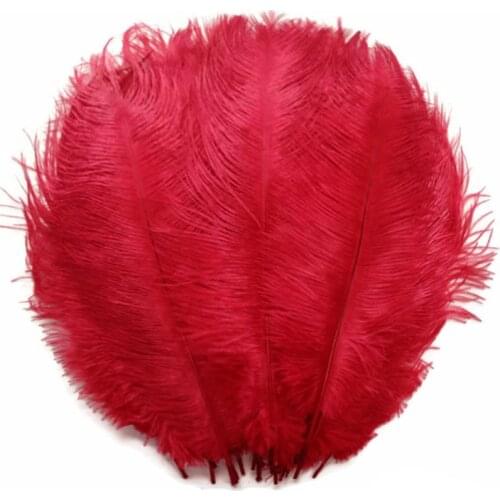 10pcs/lot 15-70CM Red ostrich feather stage costume wedding decoration feathers supplies Carnival dancer decoration plumage