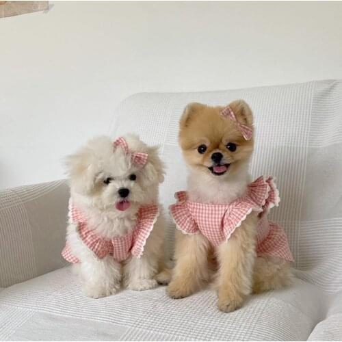 Dog clothes spring and summer new cat clothes dress vest sling small dog thin section Teddy Bomei