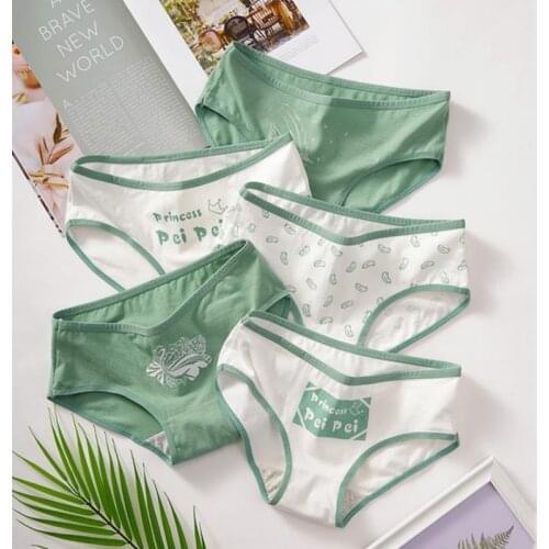 3 Pcs/Lot Panties For Girls Pure Cotton Panty Set Underwear Sexy Low Waist Briefs Womens Underpants Lingerie Large Size L-XL