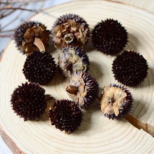 50pcs,Natural Dried Rudbeckia hybrida flower head for wedding Party home Decoration Accessories,eternal rose DIY gift box decor