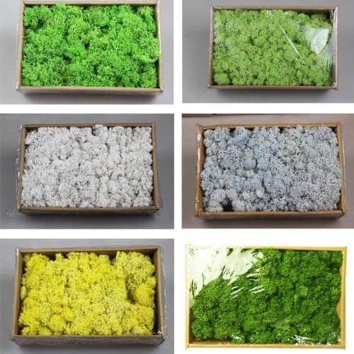 Mothers Day Gifts 200g DIY Decoration Long Time Lasting Preserved Moss Flower for Furnishing with All Kinds of Color