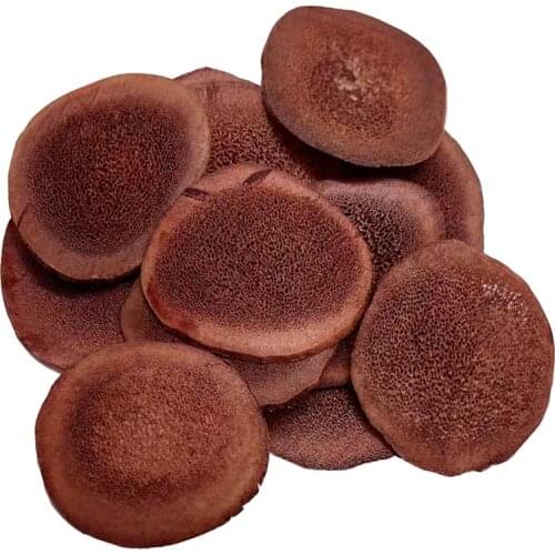 Sika deer antler genuine blood tablets 10g mens soaking wine medicinal materials Jilin authentic fresh dried tablet soakedwater