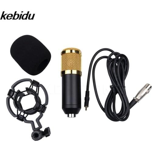 Kebidu Condenser Recording Microphone Wired Micro Phone Mic Sound Recorder Professional KTV Karaoke Dynamic + Stand Holder
