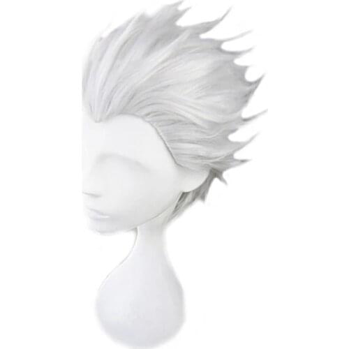 Fate Stay Night Go Extra Archer Emiya Wigs Short Silvery Heat Resistant Synthetic Hair Anime Costume Cosplay Wig + Wig Cap