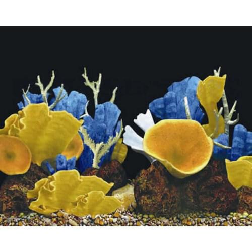 9097 23.3" x 60" Double Sided Aquarium Decoration Picture Poster Fish Tank Background Sea World / Golden Mushroom